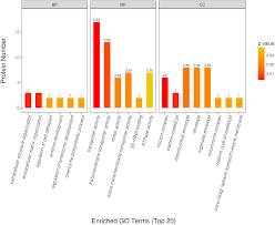 Comparative Proteomics Analysis Reveals The Difference