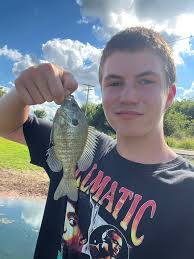 My daughter caught two bluegill