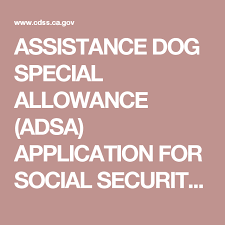 Assistance Dog Special Allowance Adsa Application For Social Security Disability Insurance Ssdi Recipien Service Dog Training Assistance Dog Service Animal
