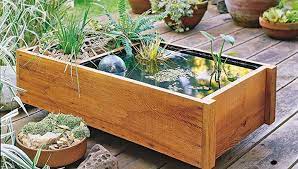 A water garden can include edge plants, such as. Build A Deck Top Pond