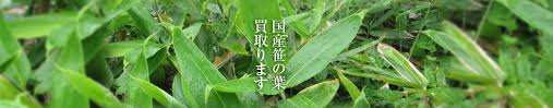 国産笹の葉買取ります 笹の葉なら小林多男商店 つまもの販売 笹 柏 朴 紅葉 桜の葉など 多彩な品揃え くるみも買取り中
