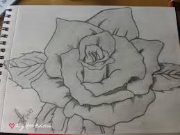 Rosa Dibujos Rosas Pintadas Dibujos De Amor
