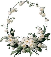 Download and use them in your website, document or presentation. 86 Idee Su Fiori Png Fiori Png Giardino Di Tulipani