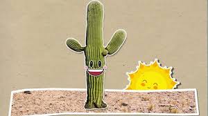 Le cactus est tendance, mais aussi très facile d'entretien. Pourquoi Les Cactus Ont Ils Des Epines