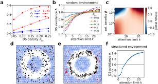 Flocking In Complex Environments Attention Trade Offs In Collective Information Processing