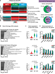 Here you may to know how to activate bsn credit card. Generation Of Inner Ear Hair Cells By Direct Lineage Conversion Of Primary Somatic Cells Elife