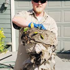 Our qualified termite technicians are experienced are receive ongoing training so that they can carry out the most comprehensive inspection possible. Humboldt Termite Pest 12 Reviews Pest Control 5440 Ericson Way Arcata Ca Phone Number