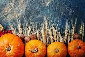 35 Autumnal Thanksgiving Zoom Backgrounds Thanksgiving Background Thanksgiving Wallpaper Rustic Thanksgiving