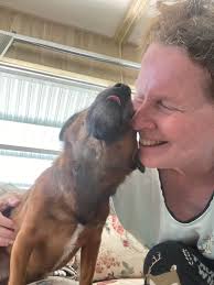 GOOD MORNING TO MY FACEBOOK FURRBIES.I HOPE YOU ALL SLEPT WELL, I SURE DID,  RIGHT BEHIND MY MOMMIES HEAD ON HER PILLOW. Everyone HOW A FUN DAY AND BE  SAFE STAY OUT