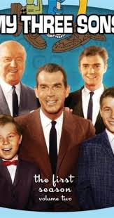 My Three Sons (TV Series 1960–1972)