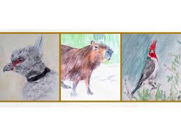 Museo de la Ciudad invita a muestra “Flora y fauna de Luján”