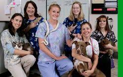 Bird And Pet Clinic Of Roseville Bird Pet Clinic Of Roseville Veterinarians And Veterinary Hospital In Roseville Ca Pet Clinic Veterinary Hospital Pet Birds