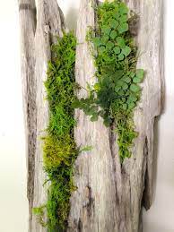Driftwood Wall Decor Natural Wood Art Wooden Sculpture With Etsy Driftwood Wall Art Moss Wall Art Nature Decor