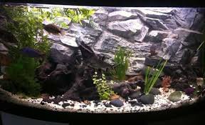Bol Com Aquarium Terrarium Achterwand Type Rock Grijs 120 60 In 1 Deel
