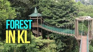 Jalan foxworthy, forest research institute of malaysia, 68100 kuala lumpur, selangor, malaysia. Canopy Walk At Kl Forest Eco Park What To Do In Kuala Lumpur Youtube