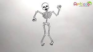 How to draw a skeleton easy. How To Draw Human Skeleton Step By Step Humanskeleton Youtube