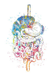 Digestive Tube Displays Medical Art Watercolor Anatomy Etsy Arte Da Ciencia Arte Em Aquarela Wallpapers Bonitos