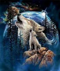 Pin By Nazir Kucuk On Beautiful Scenery Wolf Love Wolf Poster Animals