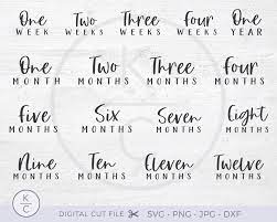 Download Baby Milestones Svg Monthly Milestones Svg Newborn Svg Etsy Baby Milestones Baby Svg Baby Month By Month