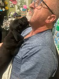 Courtesy post this sweet baby was found in Suwannee valley rd and will be  staying with the finder until owners are found please call us at  (386)-752-3191 opt 1 if you know