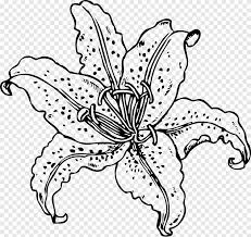 Traditional mexican art background, seamless pattern of colorful wild animals and spring time flowers. Tiger Lily Coloring Book Flower Easter Lily Mexican Flowers White Leaf Png Pngegg
