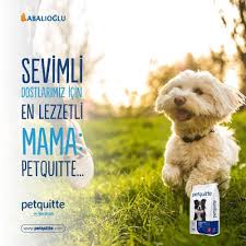 Sevimli Dostlarimiz Icin Saglikli Besleyici Ve Lezzetli Mamalar Uretiyoruz Mama Kopekmamasi Kedimamasi Kedi Kopek Best Watches For Men Watches For Men