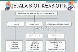 We did not find results for: Pengamatan Gejala Alam Biotik Dan Abiotik Keluhkesah Com