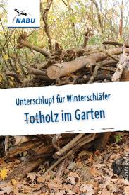 Aus Totholz Wird Neues Leben Nabu In 2020 Garten Naturgarten Igel Im Garten