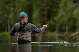 Green highlander, a classic salmon fly. Rena River Impressions Ahrex Hooks