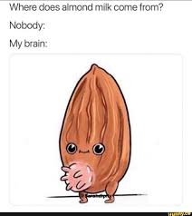 Where Does Almond Milk Come From Nobody My Brain Ifunny Dark Memes Funny Brain Meme