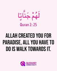 Brother 786 :i dont have a better answer and maybe you wont like reading this but it really helps to read the quran or surah yaseen (the translation) a couple of times , try to sit in a place where u cant be disturbed and ask god to open your heart and mind and soften your heart.it helped me a lot ! Pin On Quranic Life