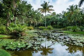 We have been working on this project for the last year and a half, and we are very excited to announce it to the public. 15 Beautiful Florida Gardens Best Florida Gardens To Visit