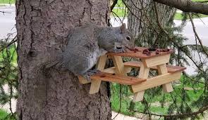 Squirrel Picnic Table Etsy In 2020 Picnic Table Outdoor Art Picnic