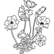 It's easy to let your creativity soar. Top 47 Free Printable Flowers Coloring Pages Online