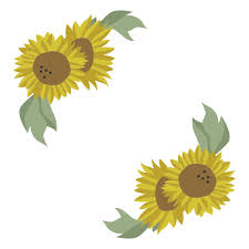 Sunflower Png Svg Transparent Background To Download
