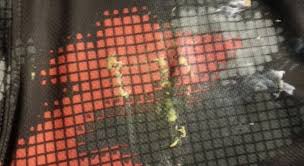 The best way to remove silly putty from fabrics and blankets is to freeze the stuff. The Easy Way To Remove Silly Putty From Clothing And Other Stuff Simply Good Tips