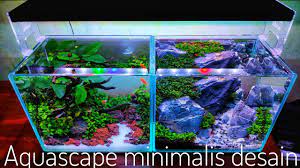 Gambar di atas adalah perbandingan kertas foto dari 2x3 hingga 20r. 102 Membuat Aquascape Ukuran 30cm Youtube