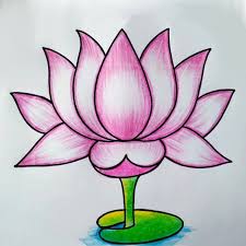 Image result for Lotus