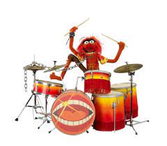 Animal is the wild and frenzied monster drummer of the fictional band, dr. Animal Drums Muppets Drum Lessons For Kids Drummer