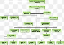 Empresa Animal Husbandry Bedrijfstak Economy Industry Png