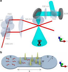 Repetition of floor to www.bca.gov.sg/publications/buildabilityseries/others/prefab_bathroom_unit.pdf 22. Observation Of Two Dimensional Anderson Localisation Of Ultracold Atoms Nature Communications