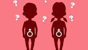 Educacion Sexual Como Hablar Sobre Sexo Con Los Ninos Pequenos
