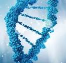 CAS 29885-96-9生产厂家，CAS 29885-96-9供应商，CAS 29885-96-9 ...
