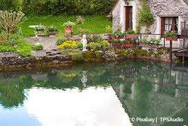Ein gartenteich bietet die idealen bedingungen für frösche. Worauf Muss Ich Beim Gartenteich Anlegen Achten Garten Und Freizeit