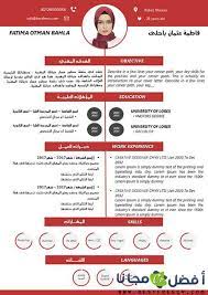 نموذج سيرة ذاتية عربي انجليزي بألوان نسائية free resume template word resume template word resume template free