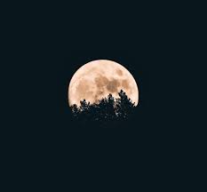 Date de la prochaine pleine lune calendrier pleine lune 2021 dates pleine lune 2021 astrologie & pleines lunes noms des pleines lunes. Rituels Lunaires De Liberation Quel Rituel Faire A La Pleine Lune Serena