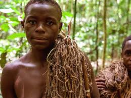 Image result for Zanha africana