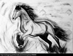 Pferd, berg, wild, galoppierendes pferd, landschaft, tier, wildes pferd, pferdesport. Galoppierendes Pferd In Schwarz Weiss Stockfoto 7086909 Bildagentur Panthermedia