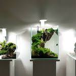Pin On All About Fish Fish Tanks And Ponds