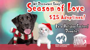 Filling out an application, counseling session, and interacting with the animal you are interested in adopting. Nashville Williamson County Animal Center And Metro Animal Care And Control Join Forces To Find Homes For Shelter Pets 25 00 Adoptions All Month
